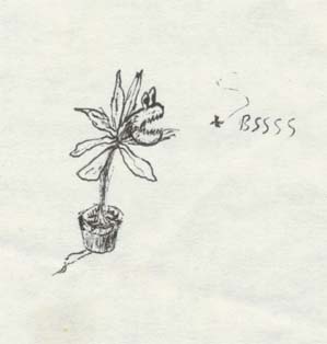 Sketch 15