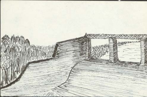 Sketch 17