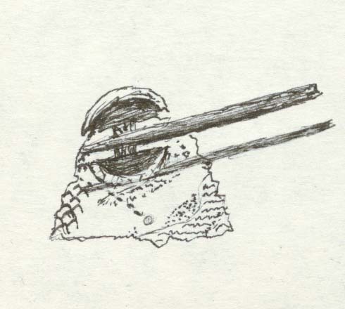 Sketch 8