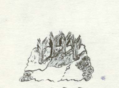 Sketch 9